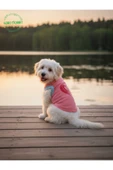 Gobo Yumuşacık Şeker Pembe Kedi ve Köpek Kıyafeti Elbisesi Farklı Modeller - XS, S, M, L Beden - 1