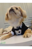 Gobo Siyah Papyonlu Smokin Damatlık Kedi Ve Köpek Elbisesi Kıyafeti Takım Elbise Medium/m/beden 2 - 4