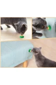 Pratik Catnipli Şeker Kedi Yalama Enerji Topu thumbnail 2