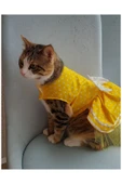 Gobo Sarı Puantiyeli Beyaz Papyonlu Kedi Köpek Kıyafeti Elbisesi Small/s/beden 1 - 1