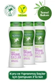 Komili Kuru ve Yıpranmış Saçlar İçin Vegan Temel Bakım Şampuanı 3'lü Set - 3 X 500 ML thumbnail 1