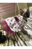 Gobo Fuşya Fiyonklu Puantiyeli Kedi Köpek Kıyafeti Elbisesi Medium/m/beden 2 - 2