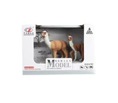 Kutulu Model Lama ve Yavrusu - 1