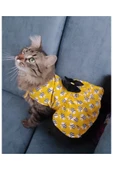 Gobo Arı Desenli Sarı Kedi Kıyafeti Elbisesi Large/l/beden 3 thumbnail 5