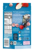 Fruit & Veggie Melts, Very Berry Blend, Karışık meyveler, 8 ay sonrası, 8+ Months, 1 oz (28 g) thumbnail 2