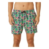 Çok Renkli Erkek Şort Mayo 1315071 - 4