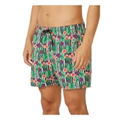 Çok Renkli Erkek Şort Mayo 1315071 - 5