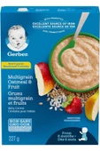 Cereals- Multigrain Oatmeal & Fruit -227 Gr- 6. aydan itibaren- 2.aşama thumbnail 1