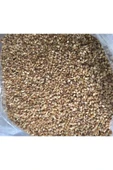 SUSAM (KÜNCÜ) 250 GR - 2