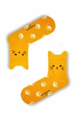 5’li Kedi Şekilli Renkli Çorap Seti | Hediye Kutulu Unisex Pamuklu Çoraplar - 7