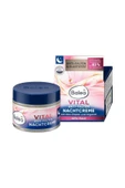 Anti Falten Nachtcreme Vital, 50 ml Kırışıkl Karşıtı Gece Kremi Vita-Elastin ve Argan Yağı ile - 2
