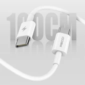 Recci RC108E GaN Teknolojili Hızlı Şarj Başlığı Type-C to Type-C PD 45W Kablolu Şarj Seti - 10