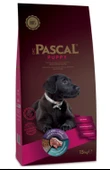 PASCAL - 1