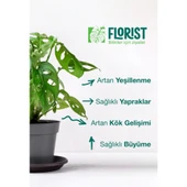 Yeşil Yapraklı Bitkiler Sıvı Konsantre Bitki Besini thumbnail 5