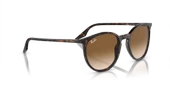 RAY-BAN RB2204 902/51 51-20-145 Unisex Güneş Gözlüğü thumbnail 4