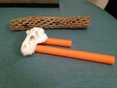 Tyranno-Scratch-Us Rex: Yazdırılabilir T-Rex Backscatcher Plastik Aparat thumbnail 8