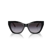 EMPORİO ARMANİ 0EA4176 50178G 54-18-140 Kadın Güneş Gözlüğü thumbnail 2