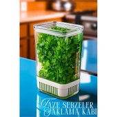 Modacar Yeşillik Saklama Kabı - Taze Yeşillik İçin - Soğan Maydanoz vb Yeşillik Saklama - 1