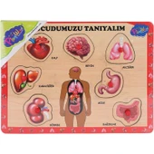Playwood Vücudumuzu Tanıyalım Ahşap Eğitici Set thumbnail 3