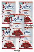 Wellnax ( 5 ADET ) GÜL BAHÇESİ | Dolap Ve Çekmece Kokusu | Rutubet Önleyici Kese, Askılı Dolap Kokusu - 1