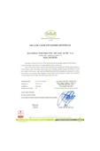 tellioğlu Organik Özel Amaçlı Un 1 Kg - 2