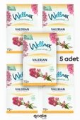 Wellnax ( 5 ADET ) Valerian | Dolap Ve Çekmece Kokusu | Rutubet Önleyici Kese, Askılı Dolap Kokusu - 1