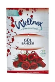 Wellnax Dolap ve Çekmece Kokusu Karma Paket 8 Çeşit - 3