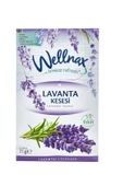 Wellnax ( 2 ADET ) Manolya & Lavanta Kesesi Dolap Ve Çekmece Kokusu | Rutubet Önleyici Kese Kokusu | - 3
