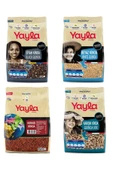 Yayla Gurme Beyaz/Siyah/Kırmızı/Karışık Kinoa 500 Gr 4 Lü Set - 1