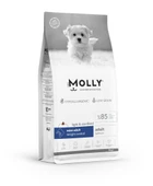 MOLLY - 1