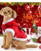 Noel Baba Geyiği Köpek Kostümü – Küçük Irk Evcil Hayvanlar İçin Polyester Kapüşonlu Çıtçıtlı Fleece Tatil Kıyafeti thumbnail 7