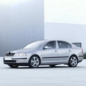 Skoda Octavia A5 2005-2008 Arka Plaka Lamba Camı 1 Adet 1Z0943021 - 2