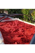 ACI BİBER SALÇASI 3 KG GÜNEŞTE KURUTULMUŞ - 4