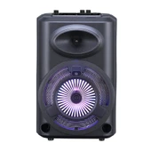 GD-903 Dijital LED Göstergeli FM Radyolu Mikrofonlu RGB TWS 8 inç Stereo Bass Kablosuz Karaoke Hoparlör thumbnail 1