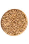 SUSAM (KÜNCÜ) 500 GR - 1