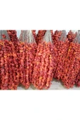 KURUTMALIK YENİ MAHSUL ACI BİBER DOLMALIK 3 DİZİ 150 ADET - 3