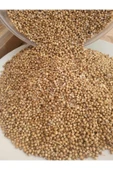 Kişniş Tohumu 100 gr - 3