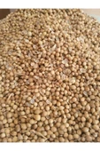 Kişniş Tohumu 100 gr - 2