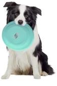 Boldy Evcil Hayvan Frizbi - Disk Köpek Oyuncağı - Frizbi Köpek Oyunu - Pet Frizbi - Frisbee - Frizbi Pet - 4