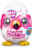 PETS A LİVE CHİRPY BİRDS AST - 2