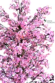 Yapay Ağaç 150 Cm Yoğun Yapraklı Yapay Sakura Japon Bahardalı Ağacı thumbnail 7