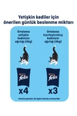FELİX Pouch Somonlu Yetişkin Kedi Konservesi 85 gr thumbnail 5