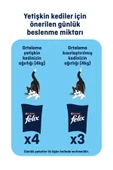 FELİX Pouch Ton Balıklı Yetişkin Kedi Konservesi 85 gr thumbnail 4