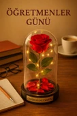 Sevgiliye Eşe Öğretmenler Gününe Anlam Katan Özel Fanusta Led Işıklı Canım Öğretmenim Hediye Biblosu thumbnail 1