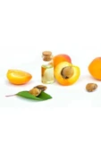 Kayısı Çekirdeği Yağı 20 ml Apricot Seed Oil thumbnail 1