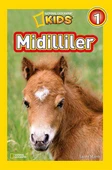 Midilliler thumbnail 1