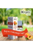 Kayısı Çekirdeği Yağı 20 ml Apricot Seed Oil thumbnail 3