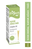 Kafur Yağı 20ml thumbnail 2