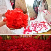 Kırmızı Renk Gül Yaprağı Şekilli Konfeti – 5 Paket 500 Adet thumbnail 3