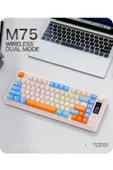 FreeWolf M75 kablosuz 2.4ghz kablosuz + bt çift Modlu klavye Led Ekranlı oyun klavyesi ile PBT Knob Rainbow thumbnail 1